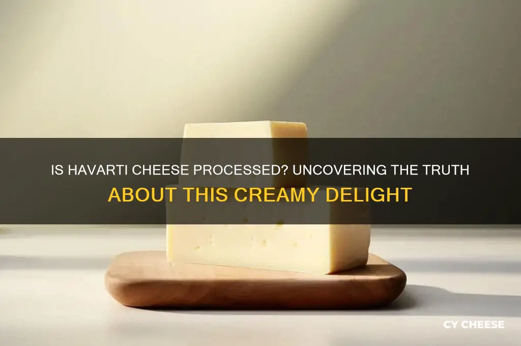 is havarti cheese processed