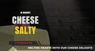 Is Havarti Cheese Salty? Exploring Its Flavor Profile and Uses