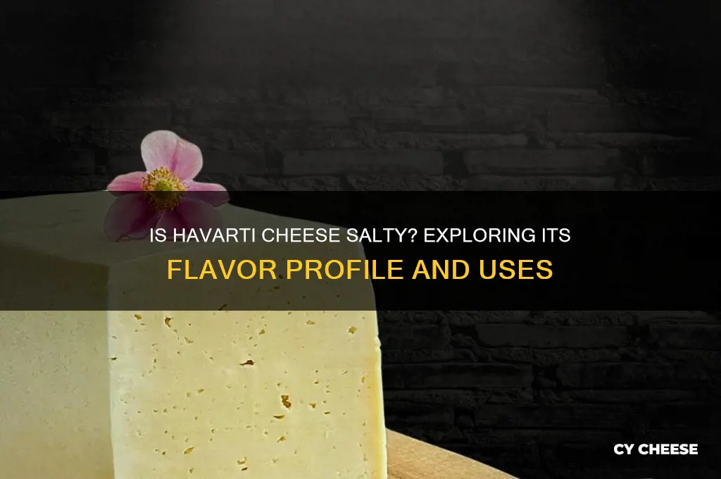 is havarti cheese salty