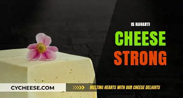 Is Havarti Cheese Strong? Exploring Its Flavor Intensity and Characteristics