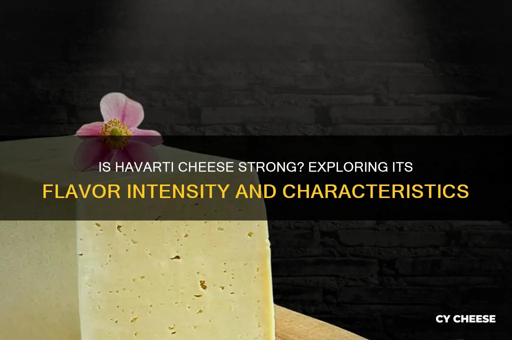 is havarti cheese strong