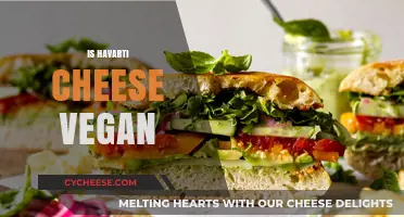 Is Havarti Cheese Vegan? Exploring Dairy-Free Alternatives and Facts