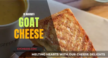 Exploring Havarti: A Creamy, Danish Goat Cheese Delight