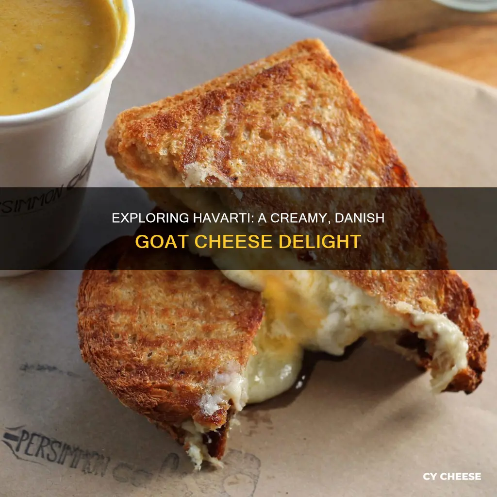 is havarti goat cheese