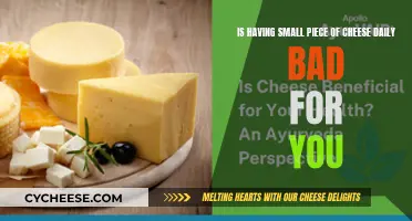 Cheese: Daily Indulgence or Health Hazard?