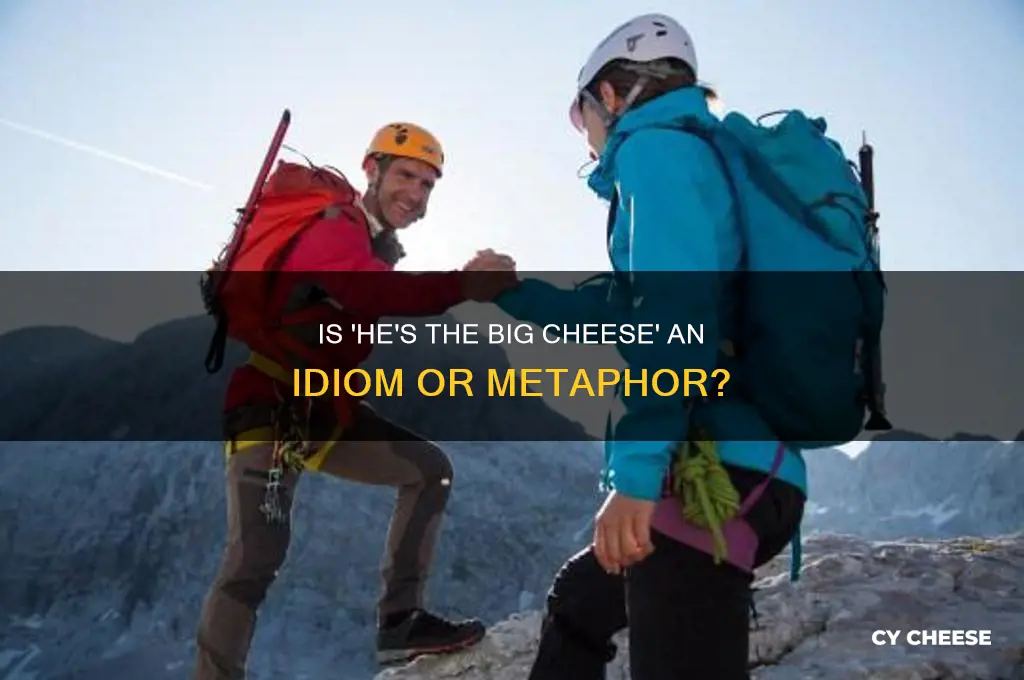 is he the big cheese an idiom or a metaphor