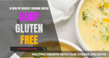 Gluten-Free Cheddar Cheese Soup: Healthy Request or Not?