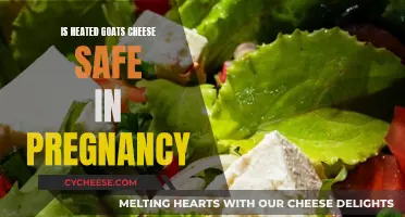 Is Heated Goat Cheese Safe During Pregnancy?