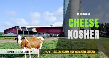 Is Hennings Cheese Kosher? Exploring Certification and Ingredients