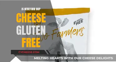 Hereford Hop Cheese: A Gluten-Free Delight