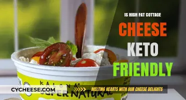 High Fat Cottage Cheese: A Keto-Friendly Diet Staple?