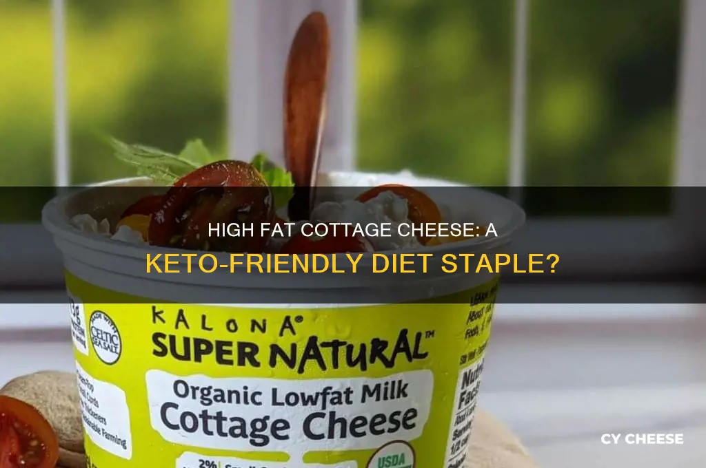 is high fat cottage cheese keto friendly
