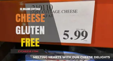 Is Hiland Cottage Cheese Gluten-Free? A Complete Guide