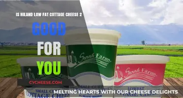 Is Hiland Low Fat Cottage Cheese 2 a Healthy Choice?