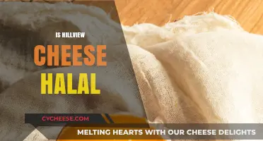 Is Hillview Cheese Halal? Exploring Ingredients and Certification
