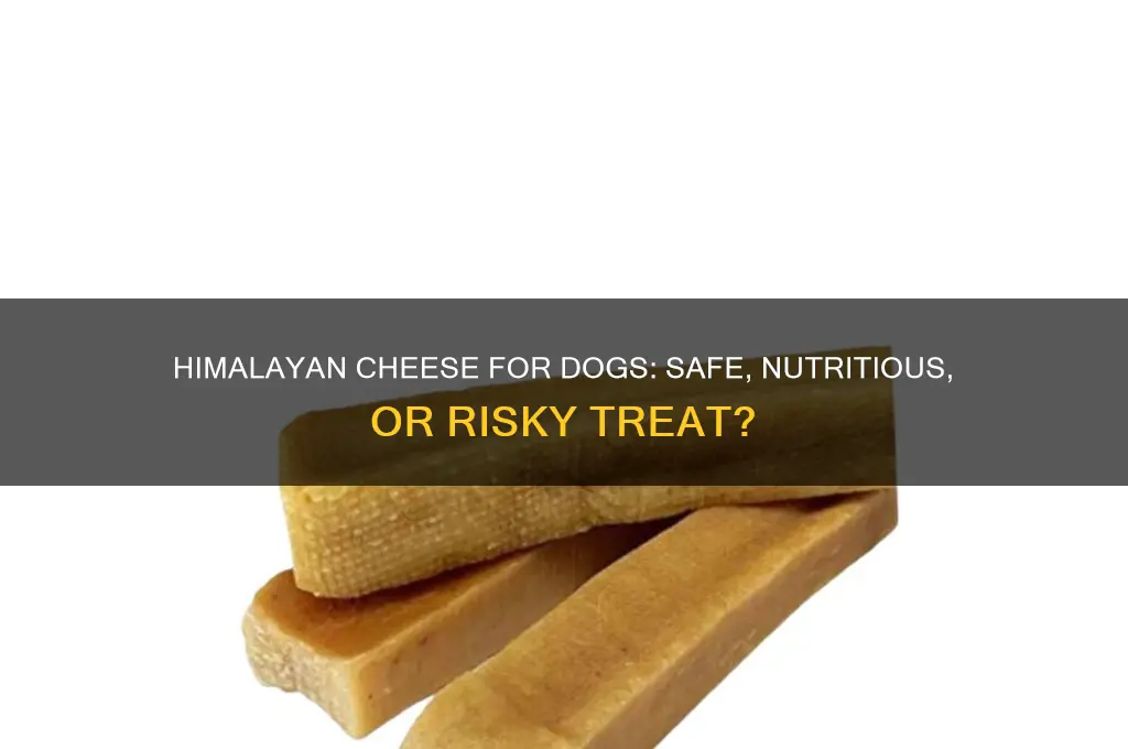is himalayan cheese good for dogs