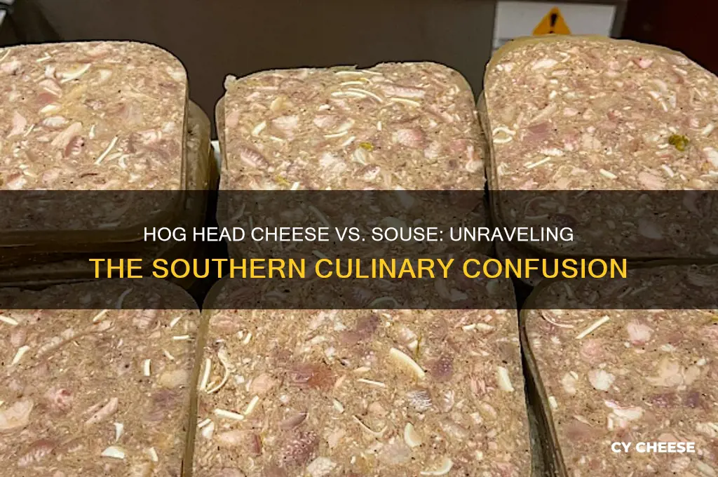 is hog head cheese the same as souse