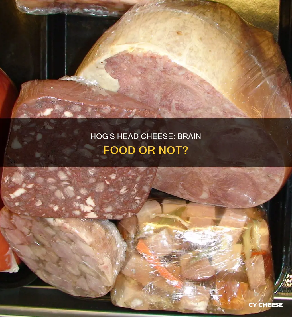 is hogs head cheese made from brains