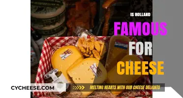 Holland's Cheese Legacy: Uncovering Its Global Fame and Tradition