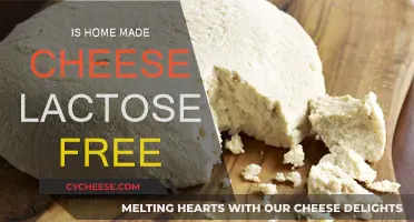 Lactose-Free Homemade Cheese: Unlocking the Secret to Dairy-Free Delights