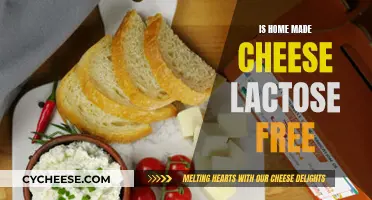 Cheese Conundrum: Homemade Cheese and Lactose Intolerance