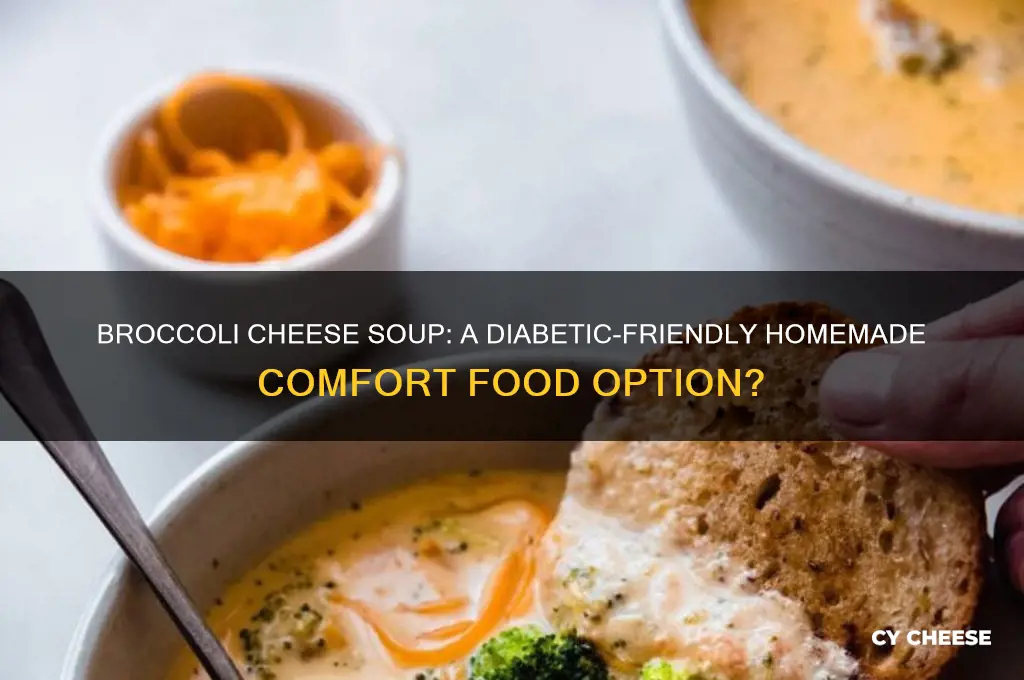 is homemade broccoli cheese soup good for diabetics