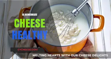 Cheese Conundrum: Homemade Cheese, Healthy or Not?
