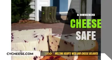 Is Homogenized Cheese Safe? Uncovering the Truth and Health Implications