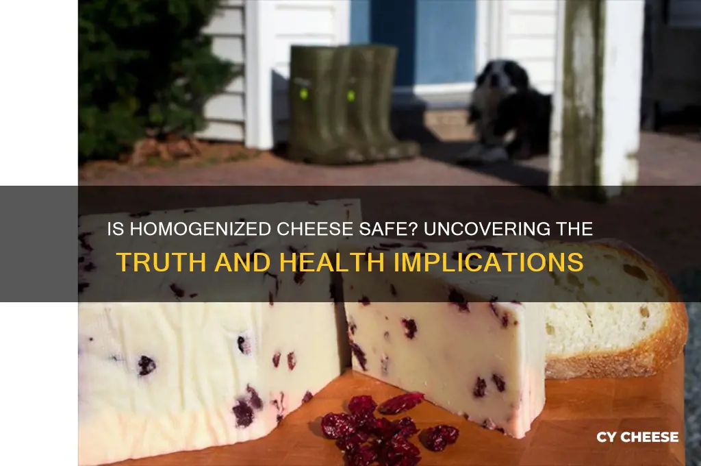 is homogenized cheese safe