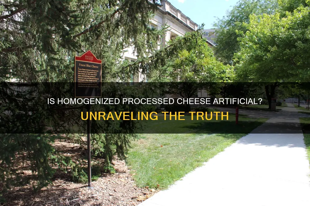 is homogenized processed cheese artificial