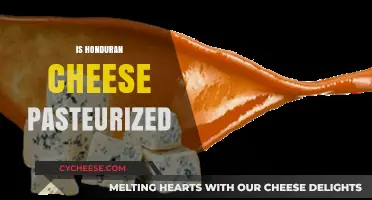 Is Honduran Cheese Pasteurized? Exploring Safety and Tradition in Dairy