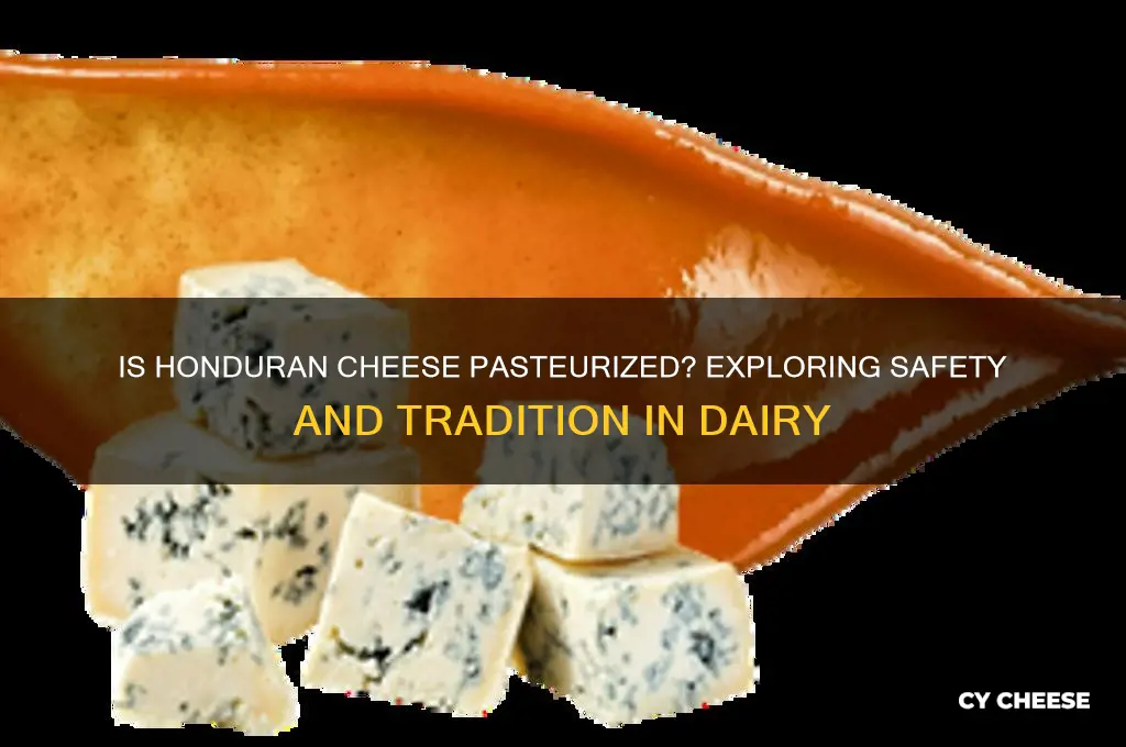 is honduran cheese pasteurized