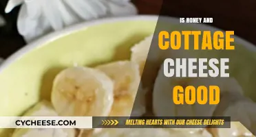 Honey and Cottage Cheese: A Healthy, Tasty Combo or Not?