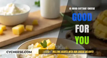 Is Hood Cottage Cheese Healthy? Nutrition Benefits and Facts Revealed