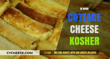 Is Hood Cottage Cheese Kosher? Exploring Certification and Dietary Compliance