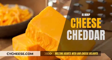 Is Hoop Cheese Cheddar? Unraveling the Mystery