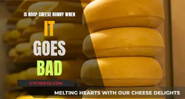 Hoop Cheese Runny: What's the Reason Behind It?