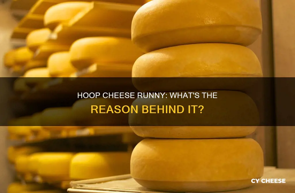 is hoop cheese runny when it goes bad