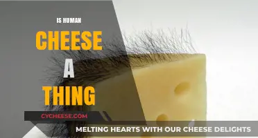 Is Human Cheese Real? Exploring the Bizarre Concept and Its Implications