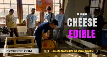 Exploring the Edibility of Human Cheese: Myths, Facts, and Safety Concerns