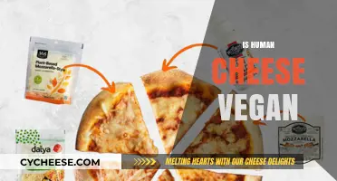 Is Human Cheese Vegan? Exploring Ethics and Alternatives
