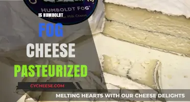 Is Humboldt Fog Cheese Pasteurized? A Complete Guide to Its Production