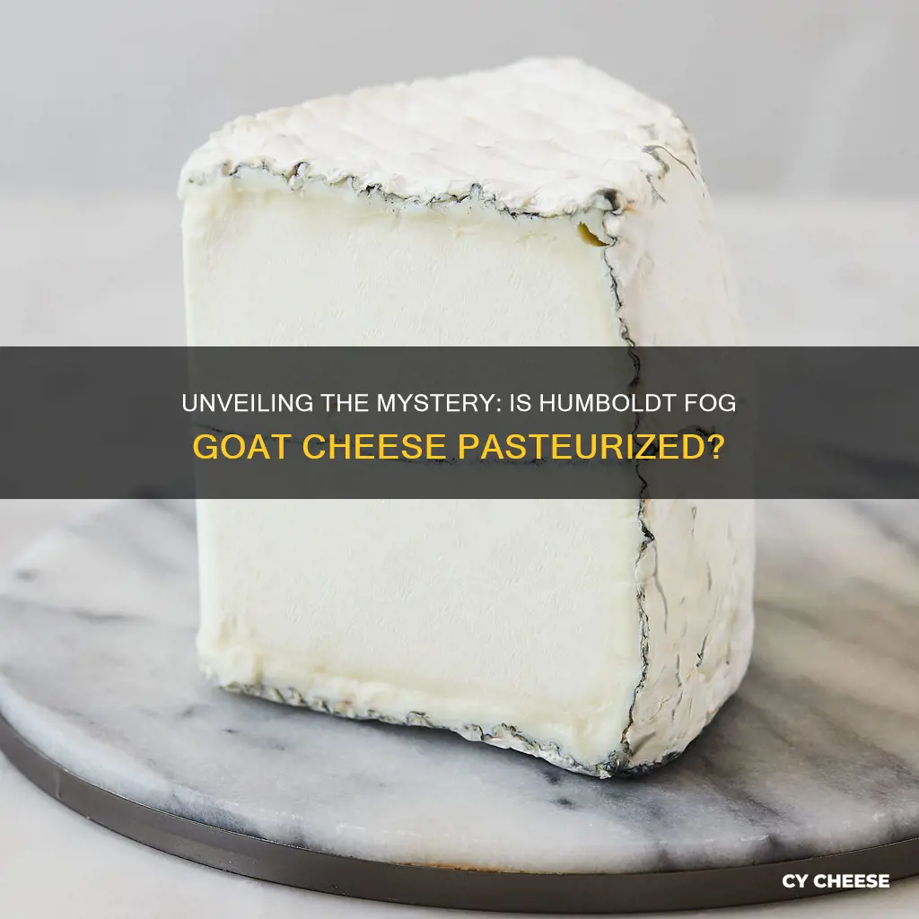 is humboldt fog goat cheese pasteurized