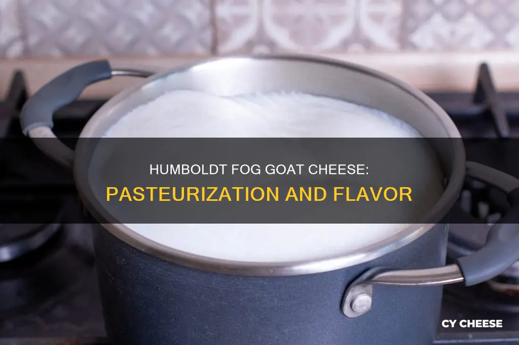 is humboldt fog goat cheese pasteurized