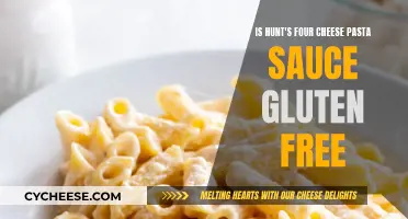 Gluten-Free Pasta: Hunt's Four Cheese Sauce