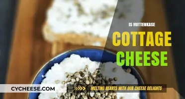Huttenkase vs. Cottage Cheese: Unraveling the Dairy Difference
