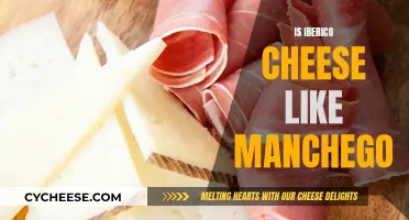 Iberico Cheese: Similar to Manchego?