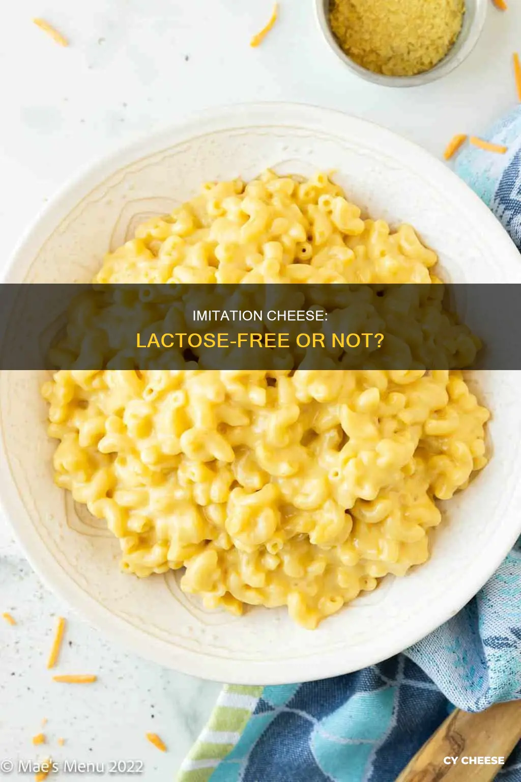 is imitation cheese lactose free