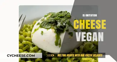 Is Imitation Cheese Vegan? Exploring Plant-Based Alternatives and Ingredients