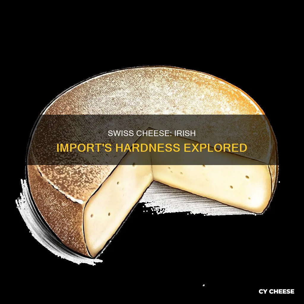 is imported irish swiss cheese considered a hard cheese